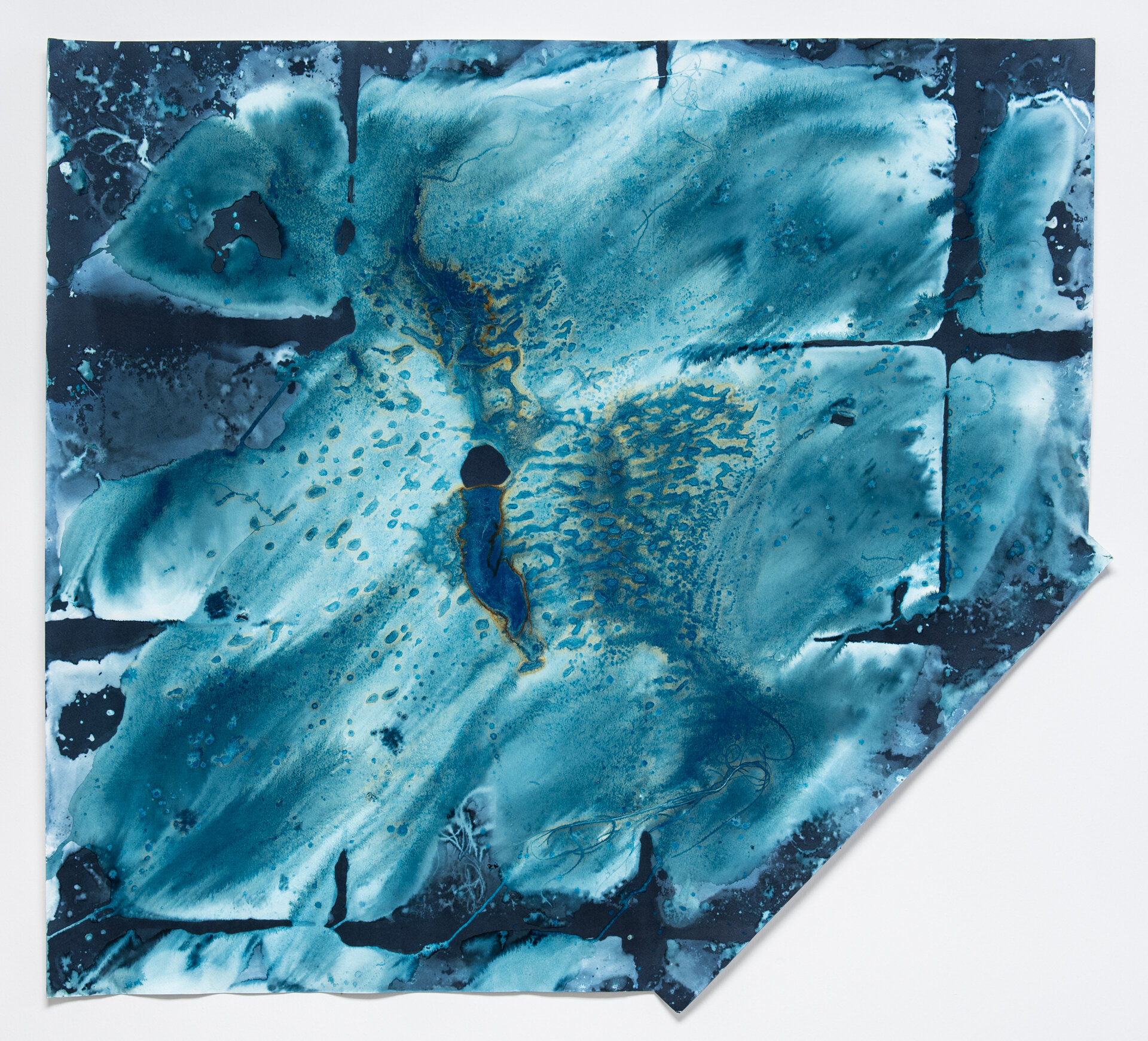 Cyanotype-8.jpg