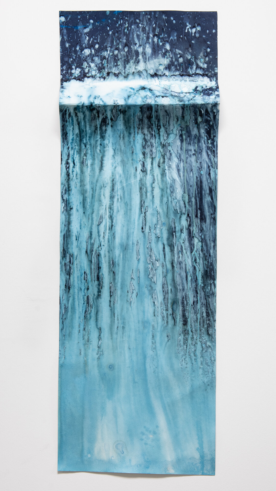 Cyanotype-10.jpg