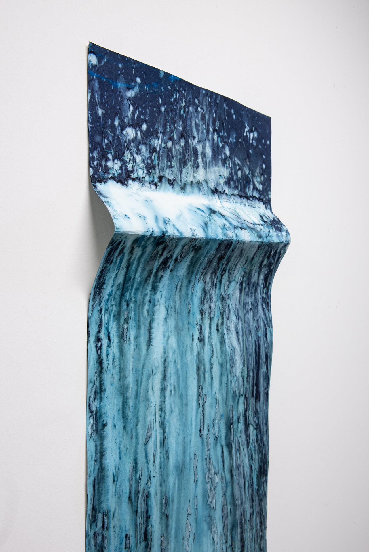 Cyanotype-11.jpg