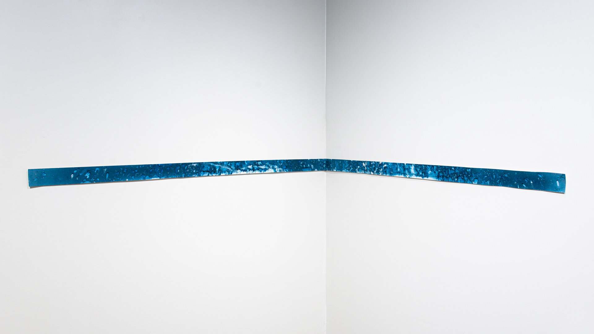 Cyanotype-13.jpg