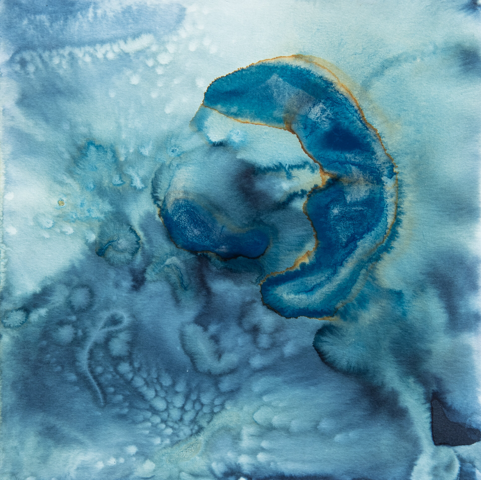 Cyanotype-12.jpg
