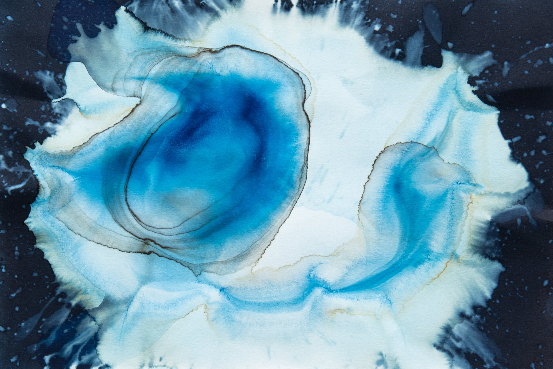 Cyanotype-15.jpg
