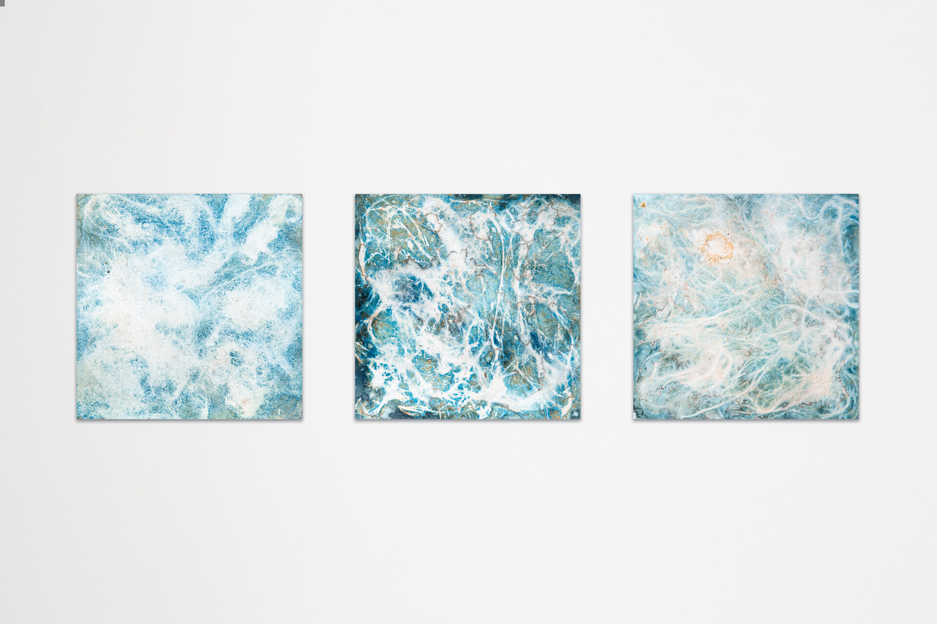 Cyanotype-16.jpg