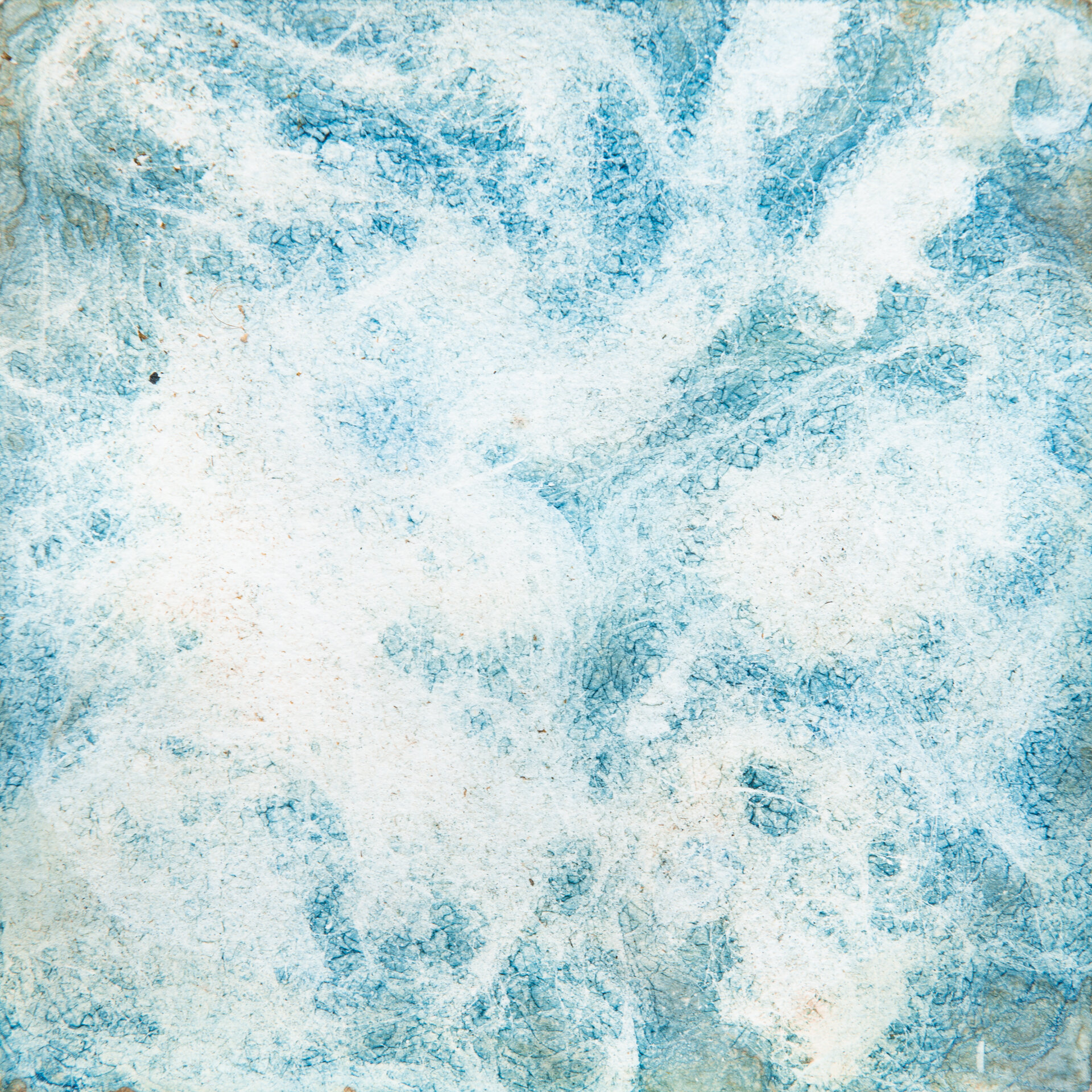 Cyanotype-17.jpg