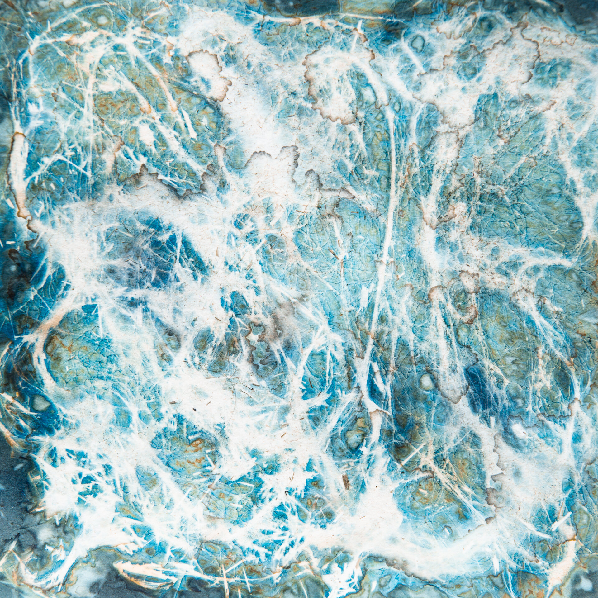 Cyanotype-18.jpg