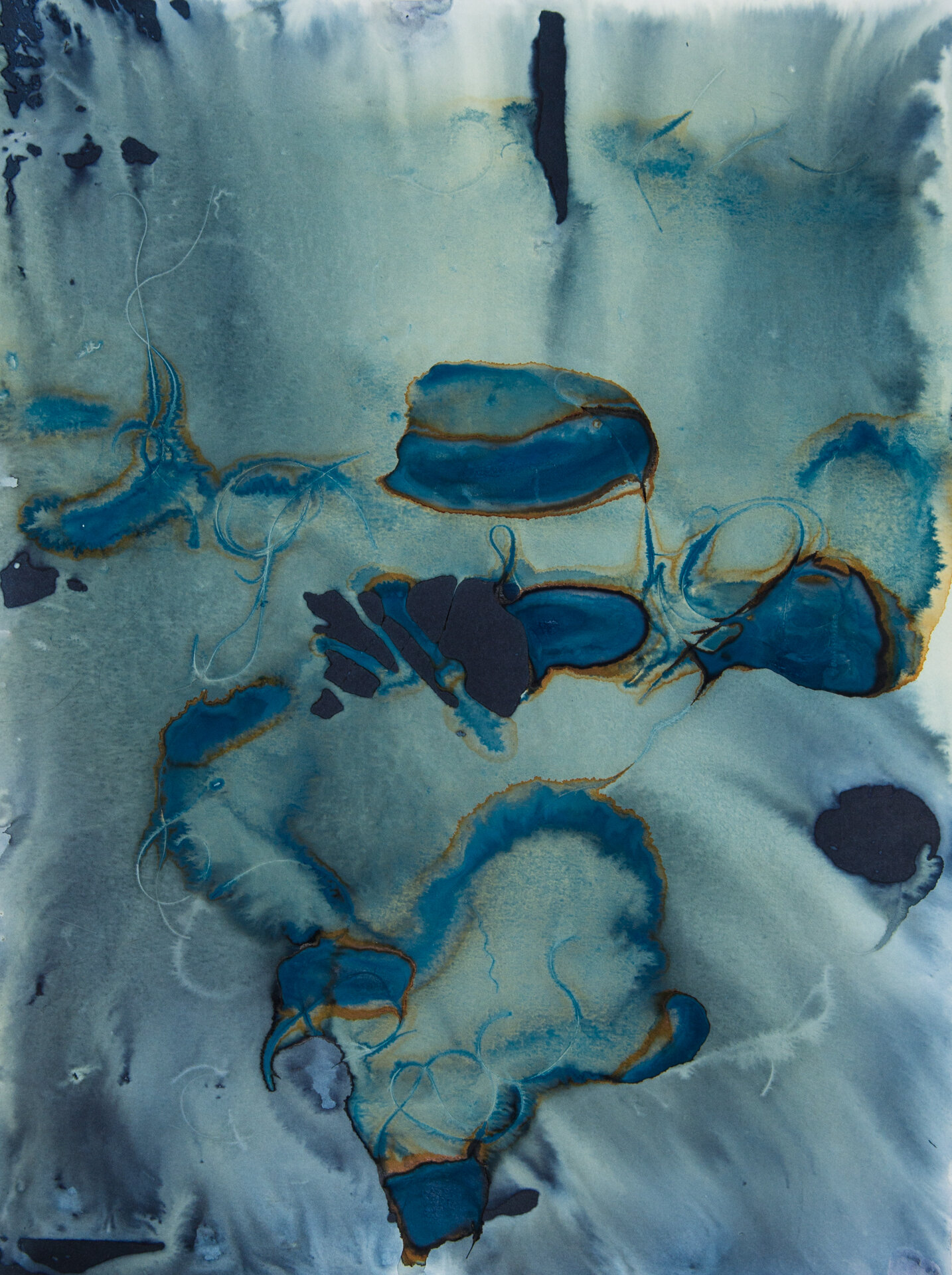 cyanotype-21.jpg