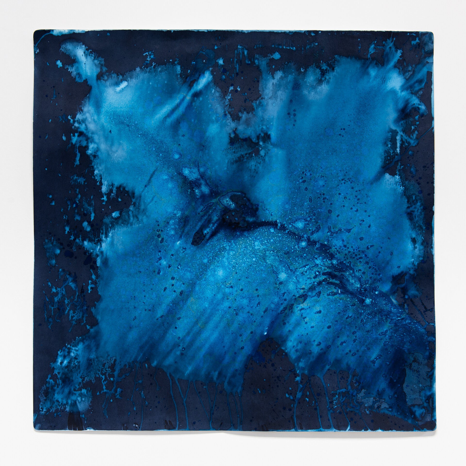 cyanotype-23.jpg
