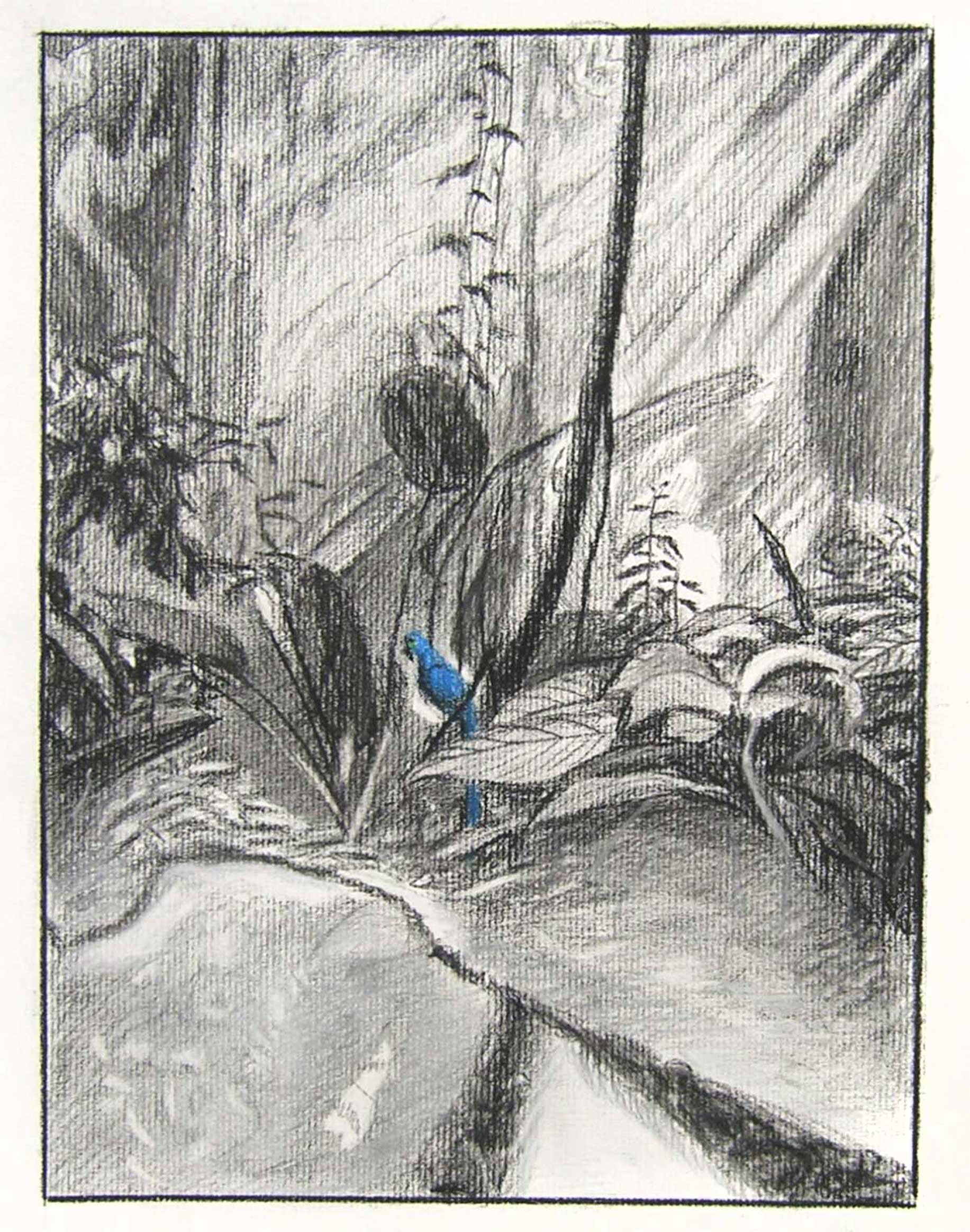 05 study 5 for In the Looking Glass.jpg