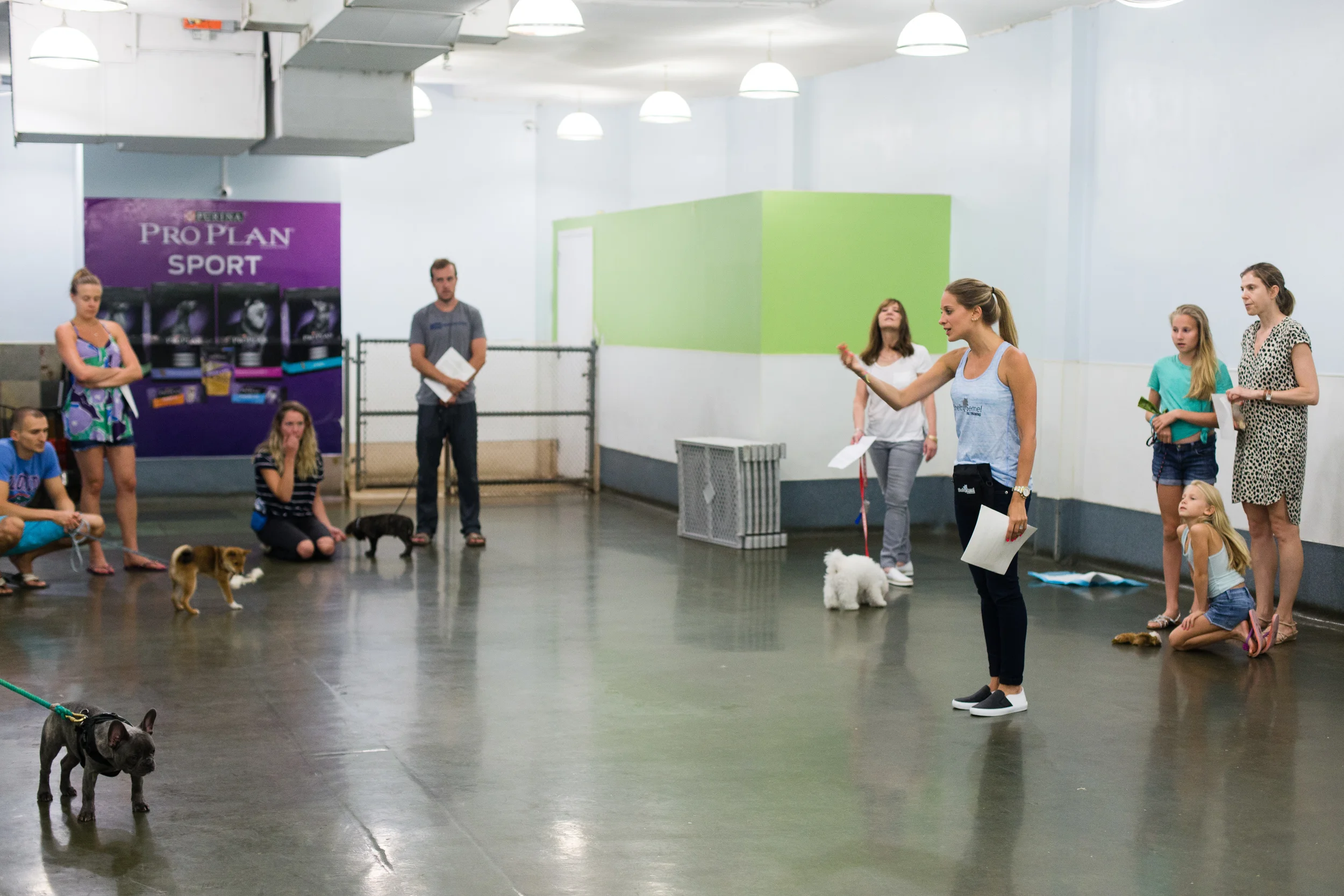 puppy group classes