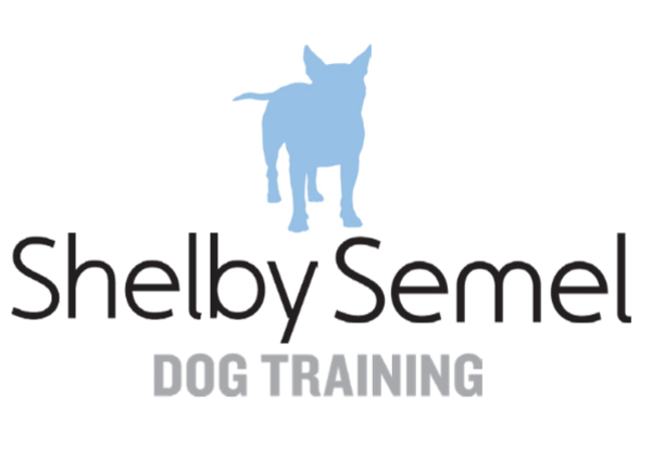 Shelby Semel Dog Training