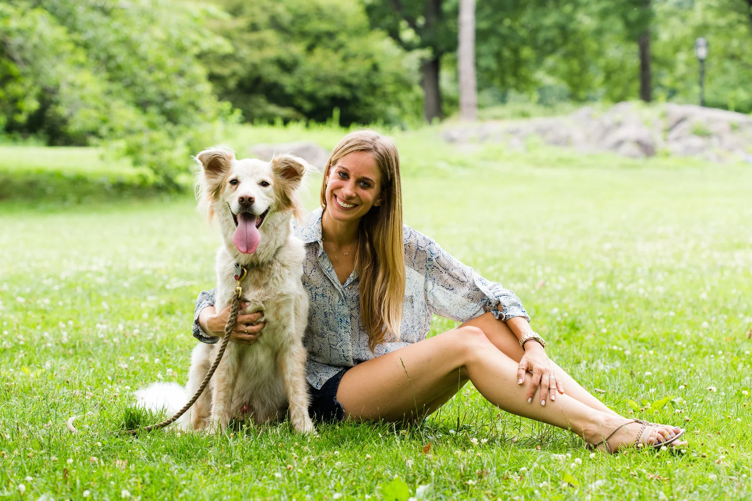 About — Shelby Semel Dog Training
