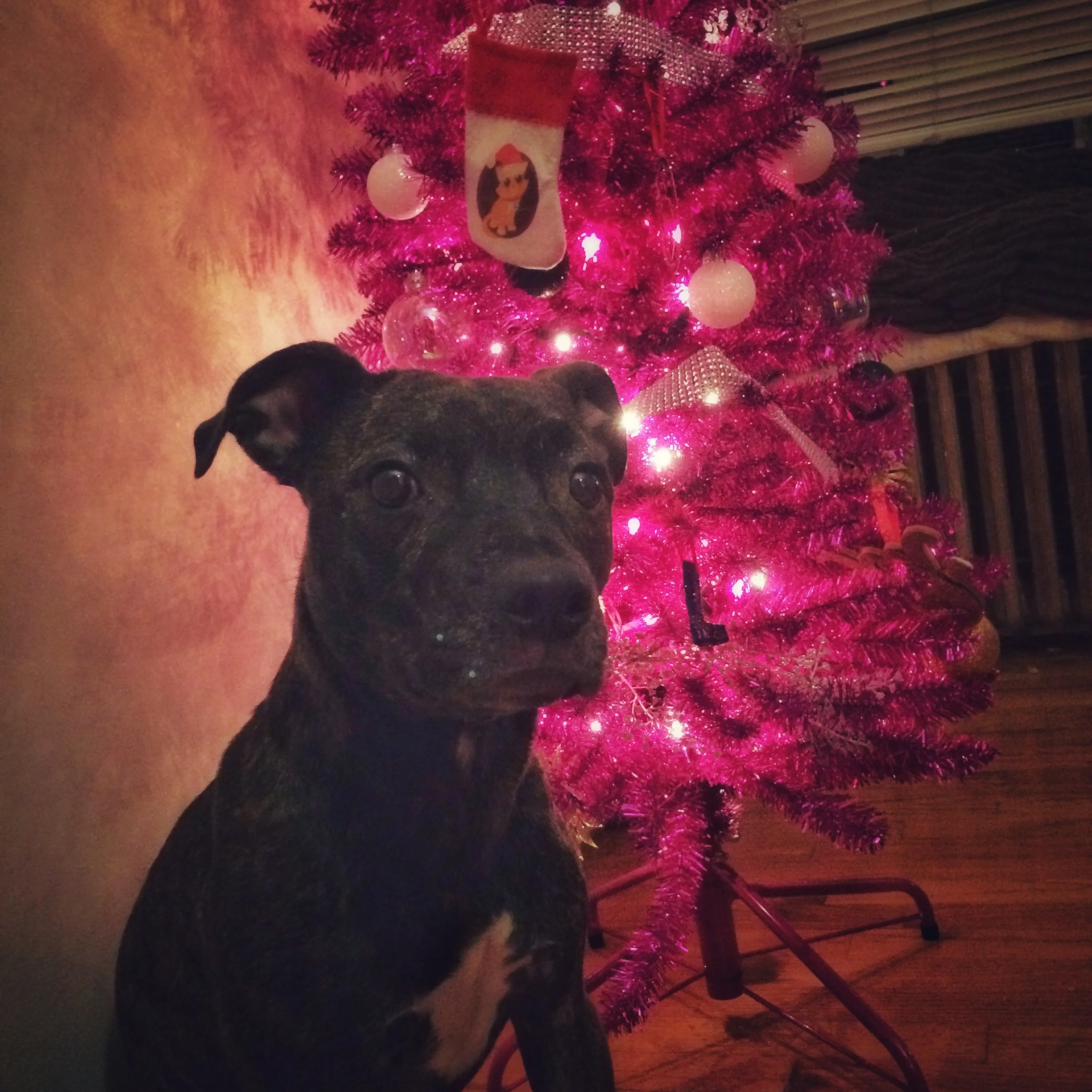 Holiday Survival Guide