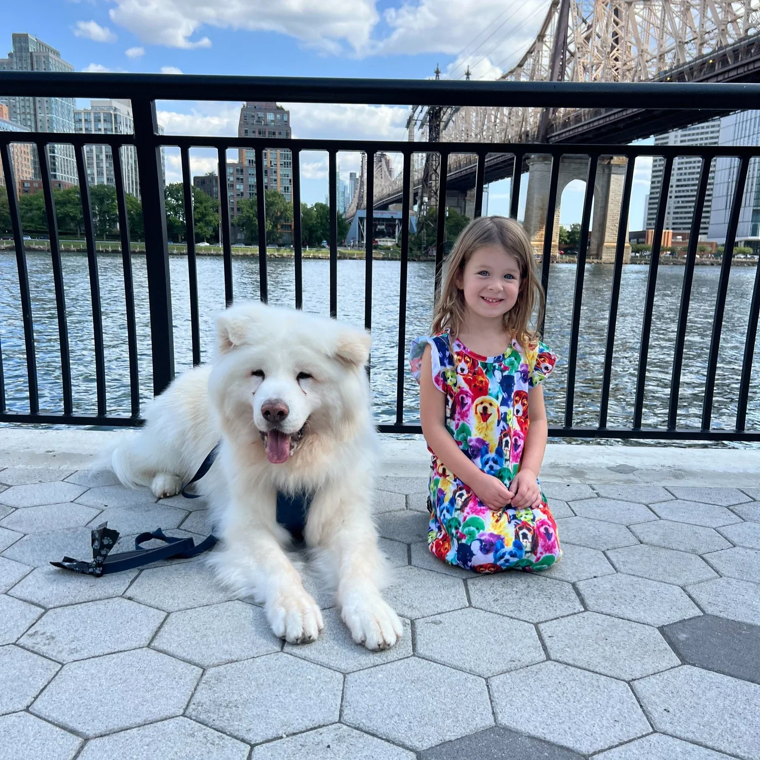 The Ultimate Guide to Choosing the Perfect Dog for Your Busy Family