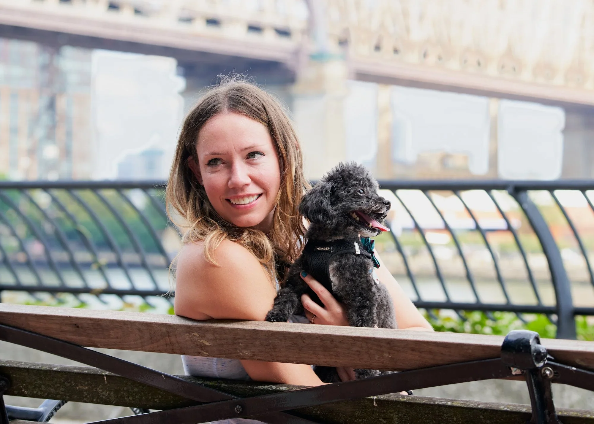 New York Pet Ownership Statistics: How NYC Dog Lovers Spoil Their Pets More Than Anyone