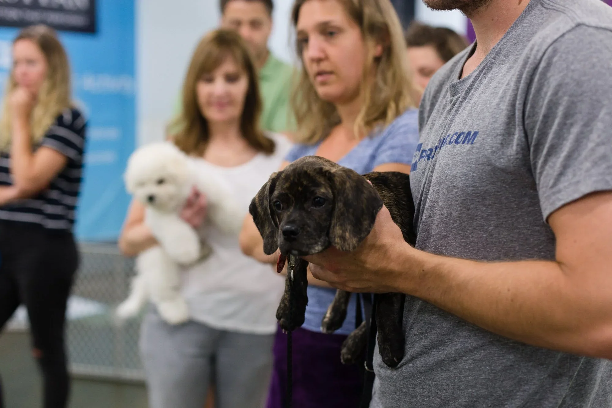 New Year’s Dog Training Resolutions That Actually Stick