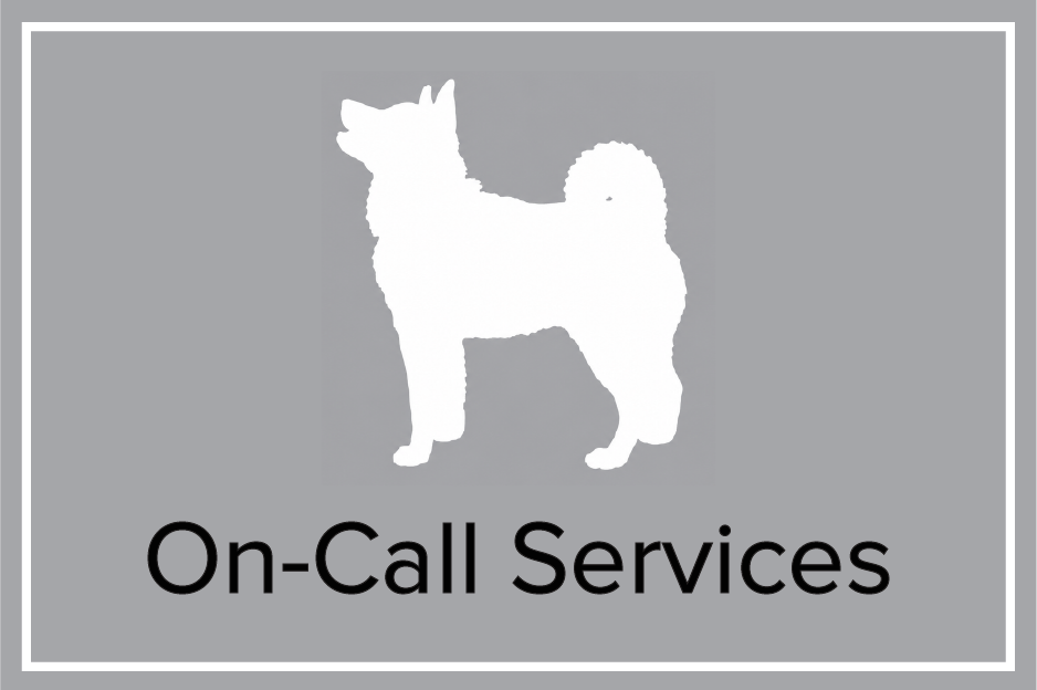 Shelby Semel Dog Training | On-Call Dog Training Support for Dogs in New York City in person and virtually