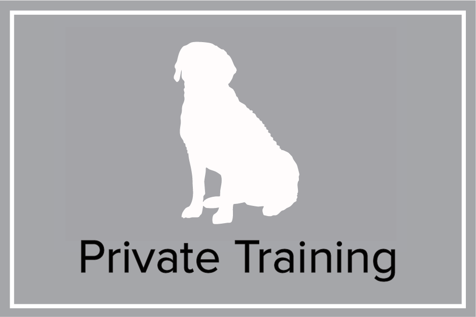 Shelby Semel Dog Training | Private Training for Dogs in New York City in person and virtually