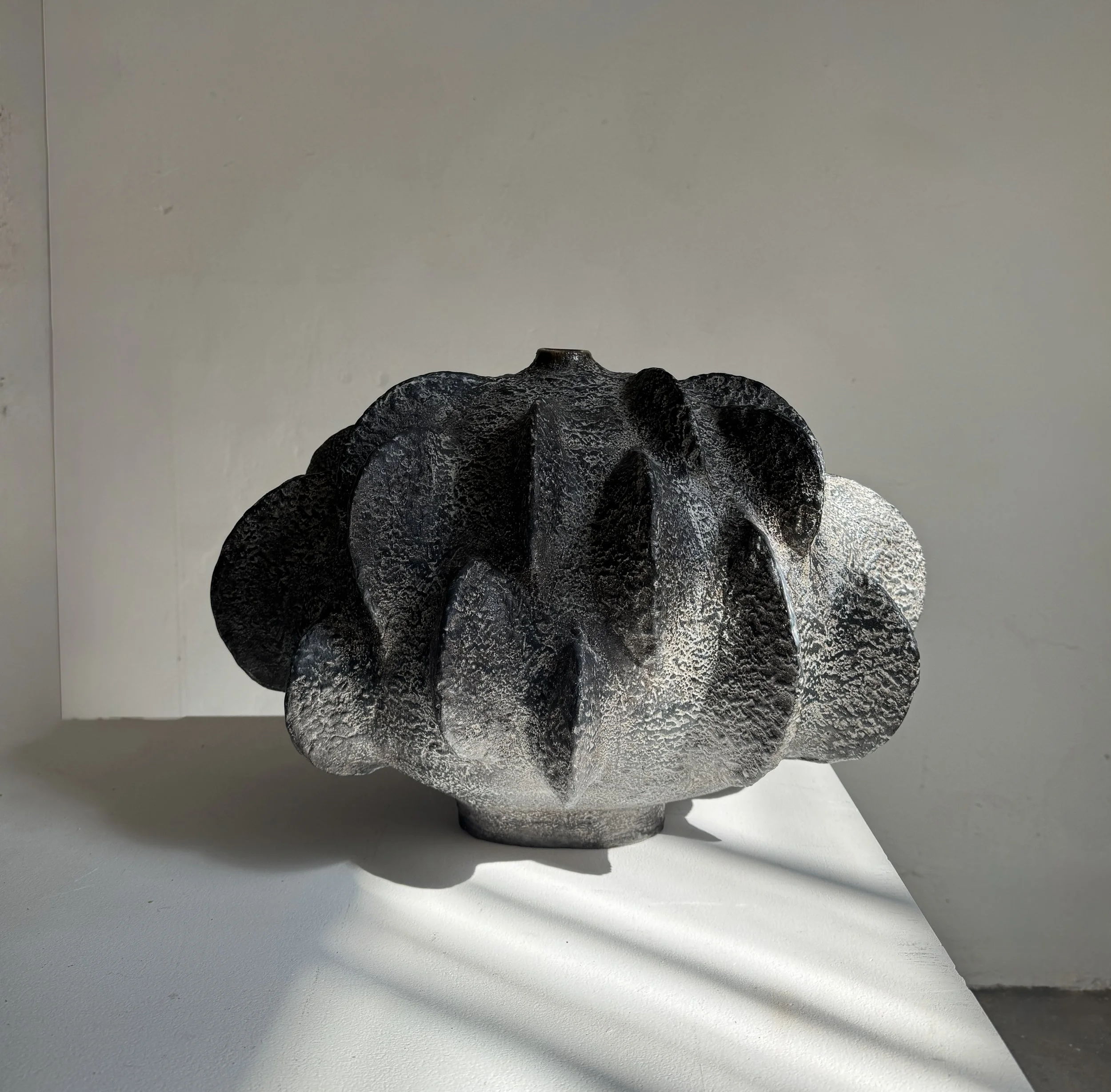  Charcoal Petal Ellipse Garde, New York   