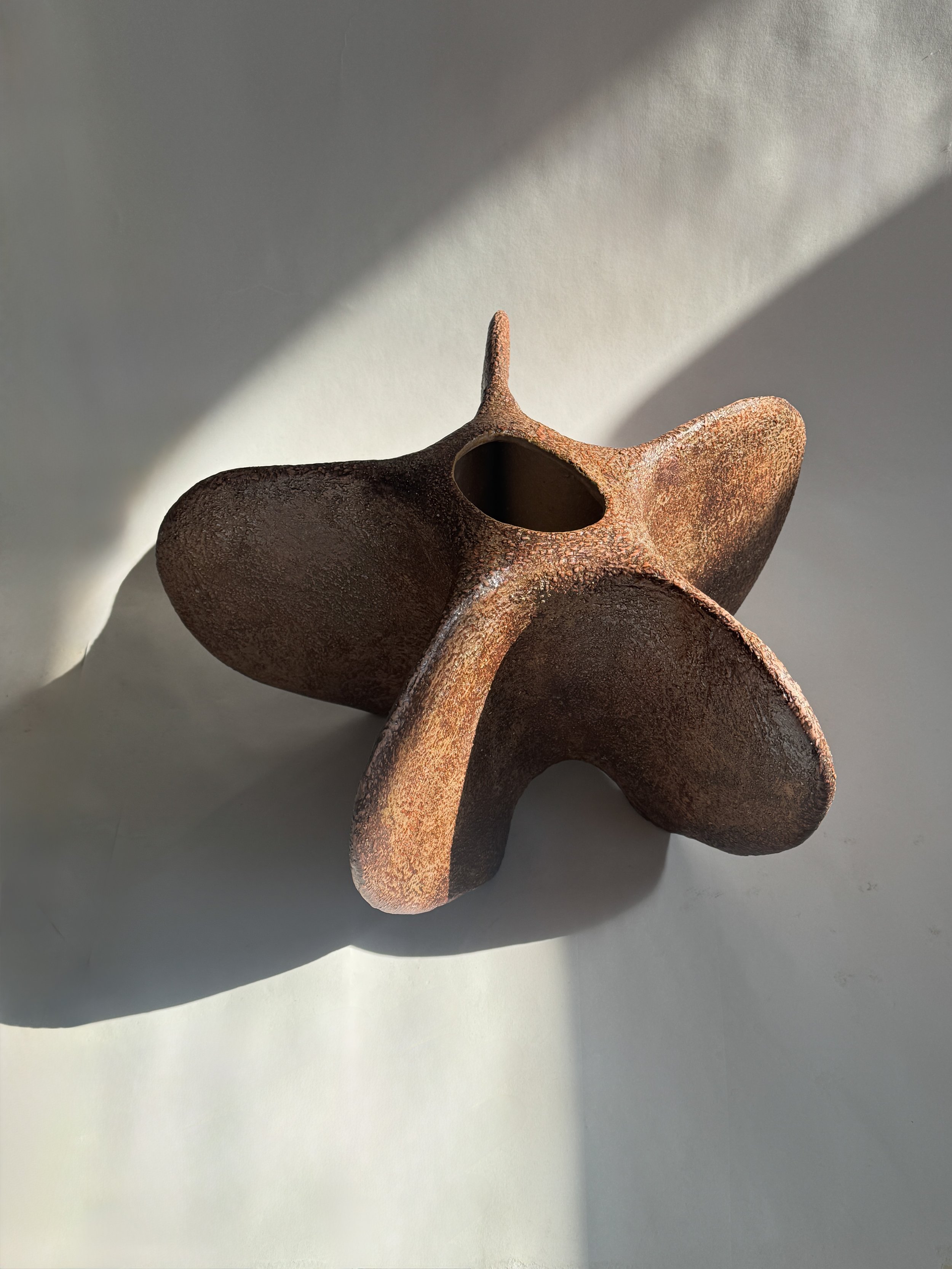  Deep Russet Star, Garde, Dallas 