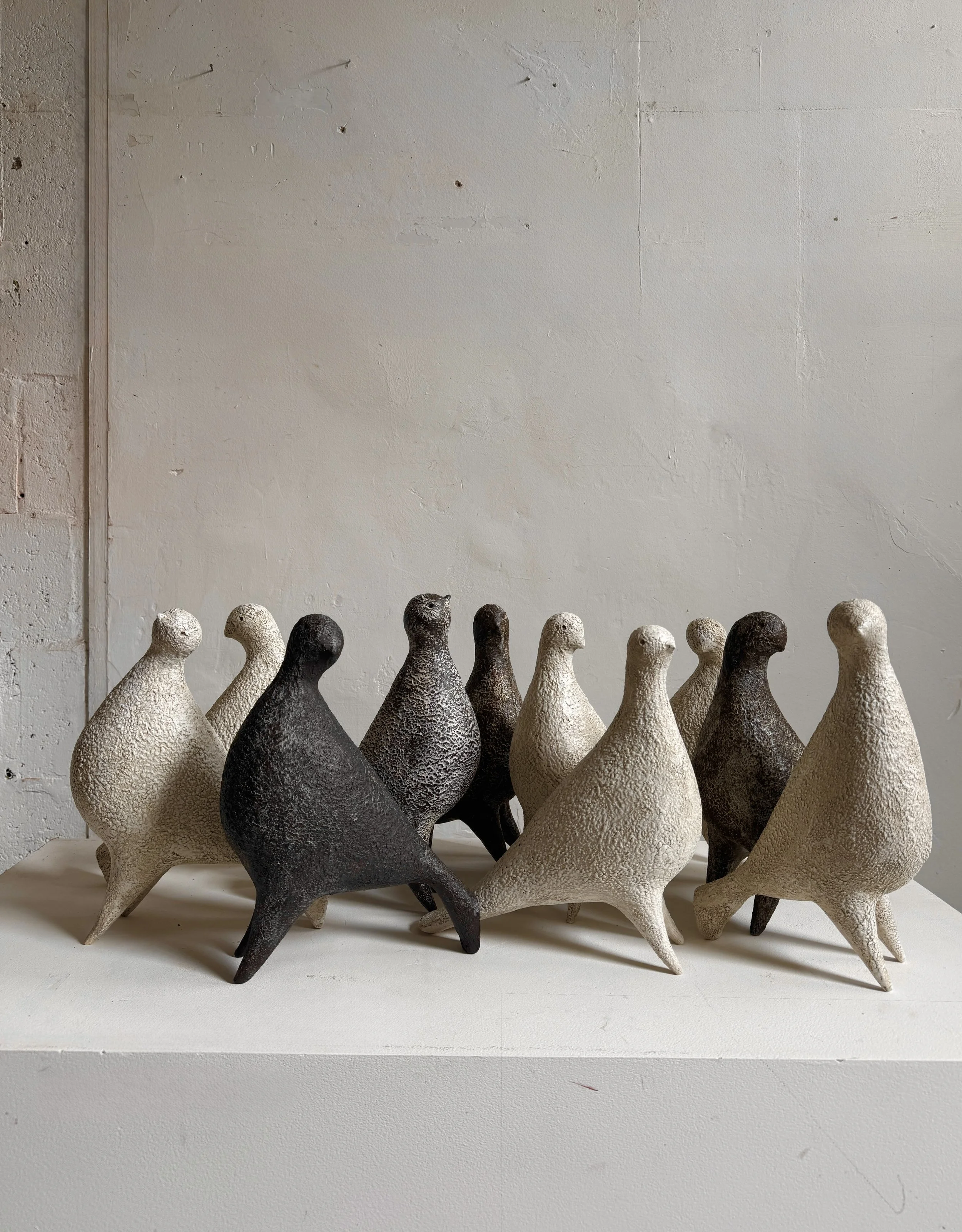  Ponti birds Garde, USA 