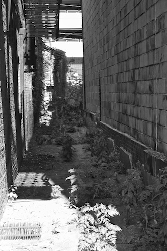 Rat's Alley