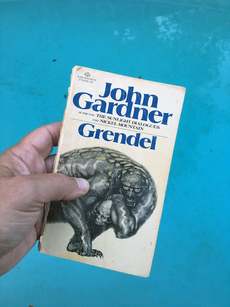 They watch on, evil, incredibly stupid, enjoying my destruction. 'Poor Grendel's had an accident,' I whisper. 'So may you all. --John Gardner, Grendel