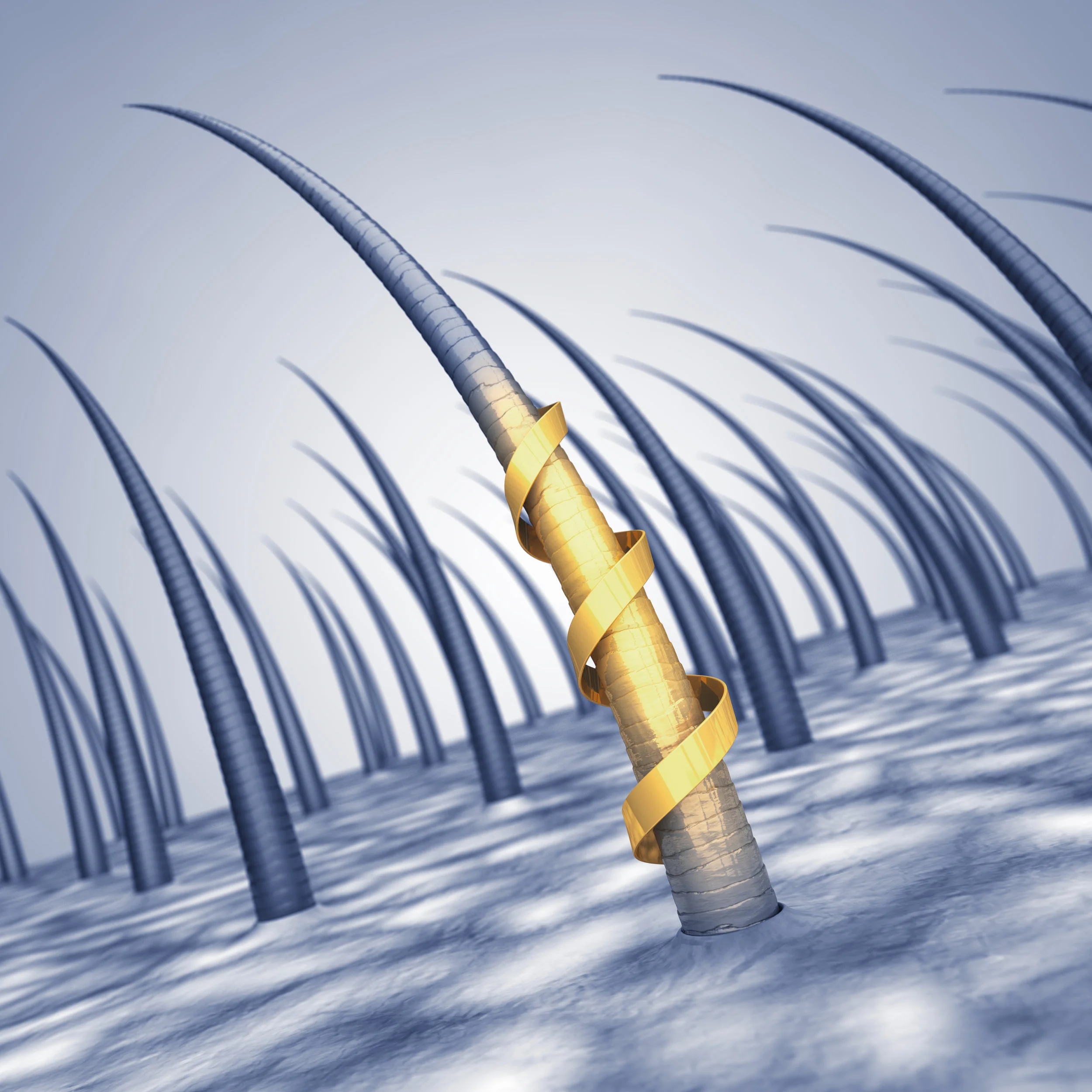 AdobeStock_83722377.jpeg