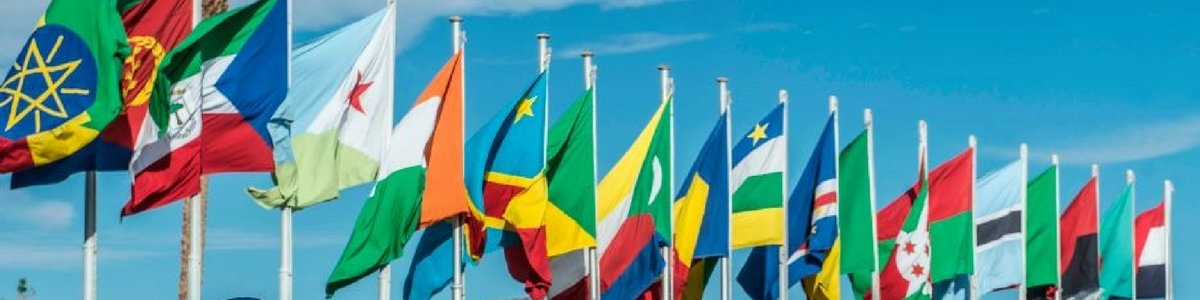 African flags web banner.png