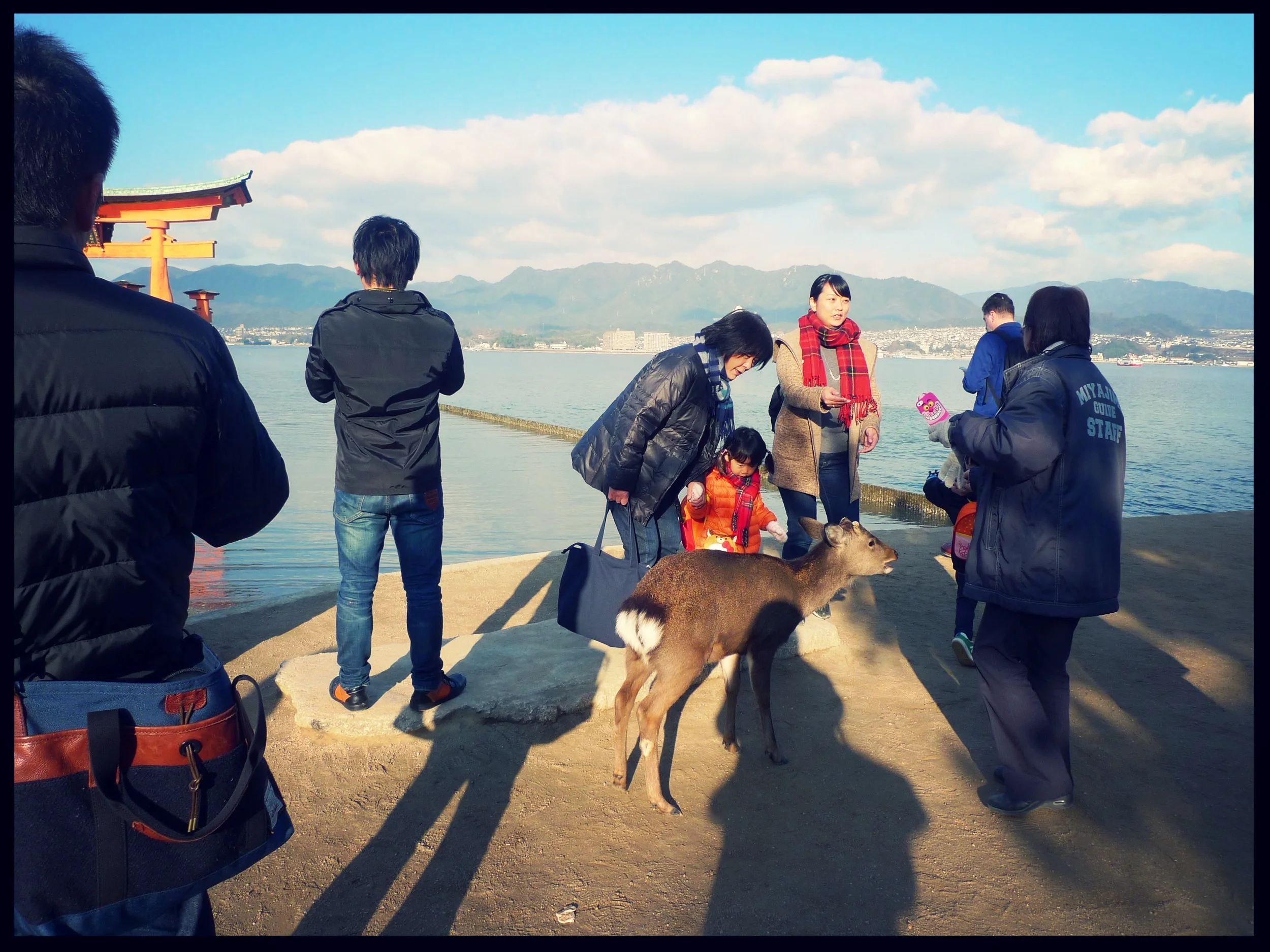 P1110327.jpg