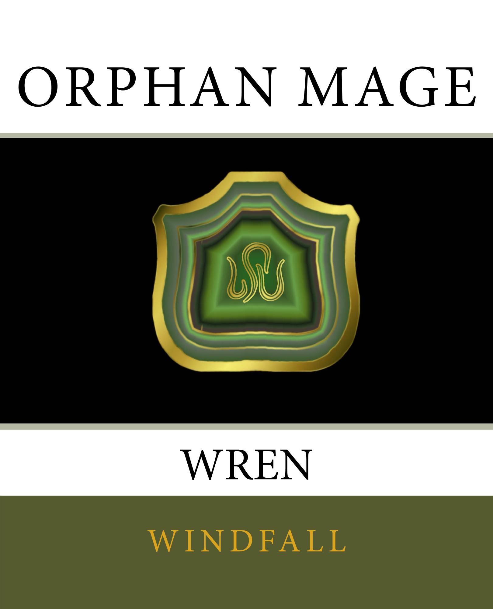 Orphan_Mage_Cover_for_Kindle.jpg