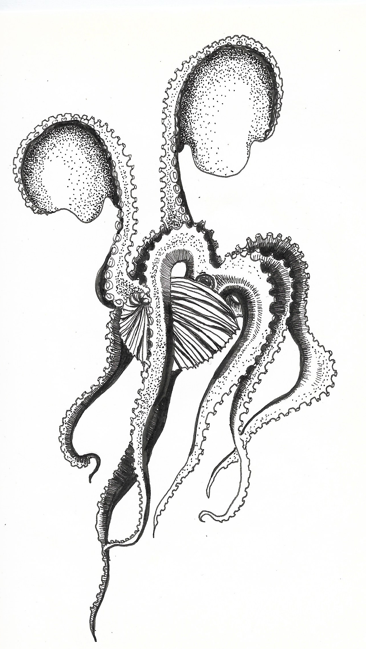 Argonaut