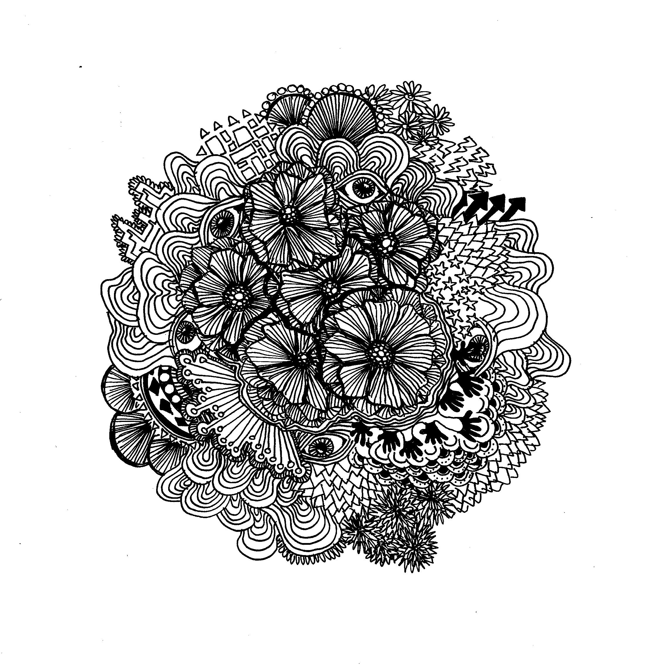 Flower Study