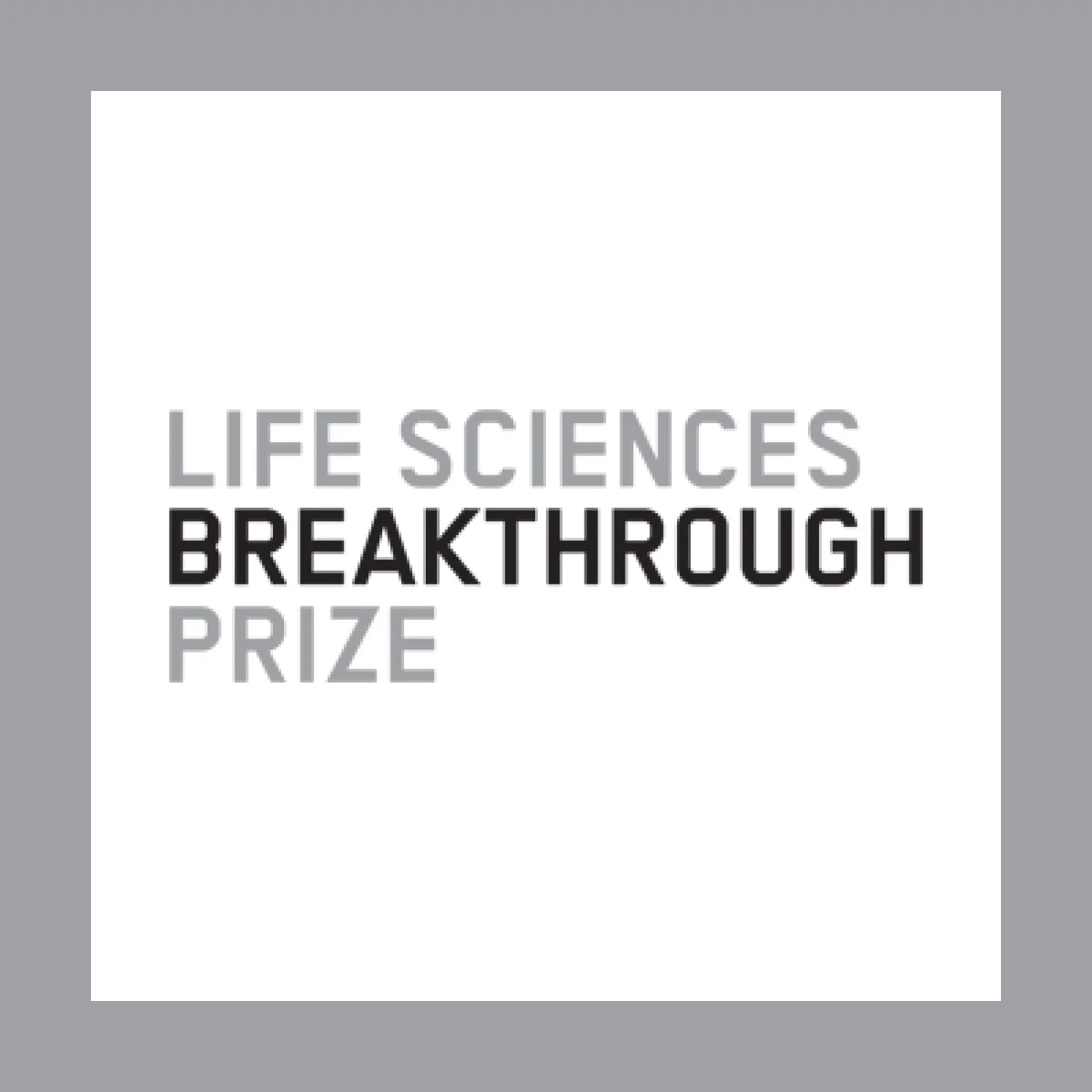 logo3.jpg