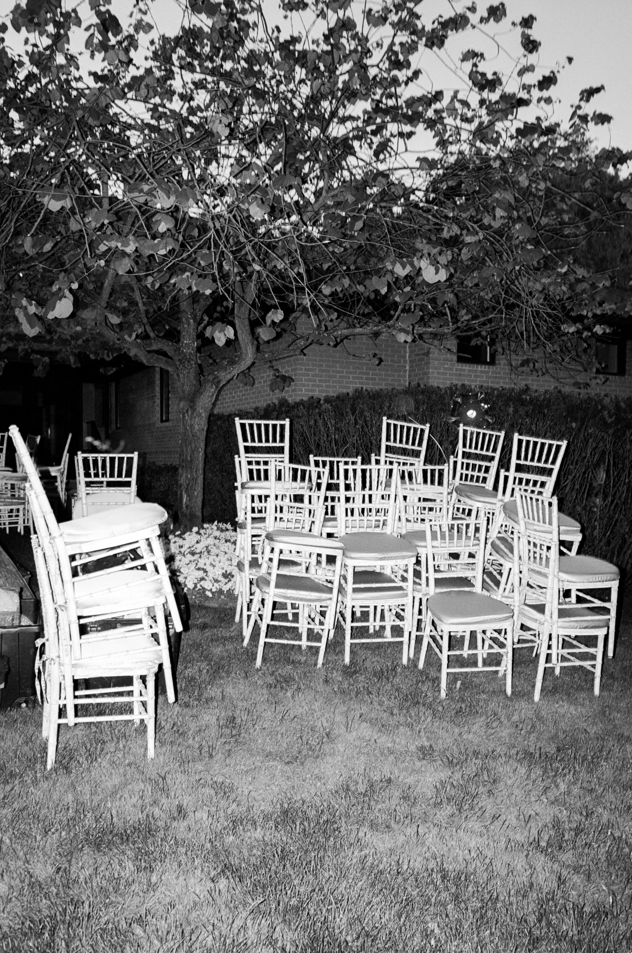 BrettandJane-20260612-828.jpg