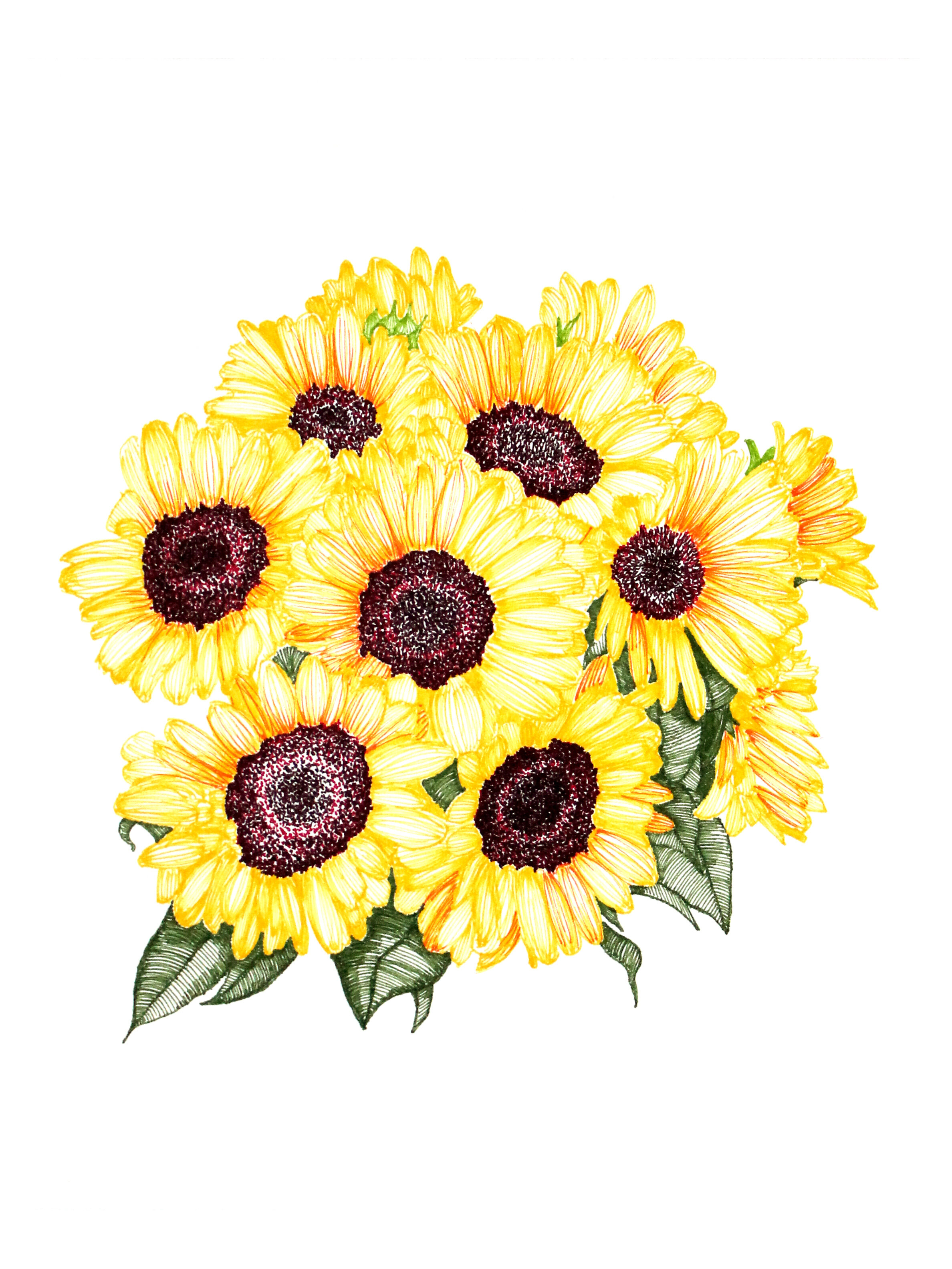 Sunflower Bouquet