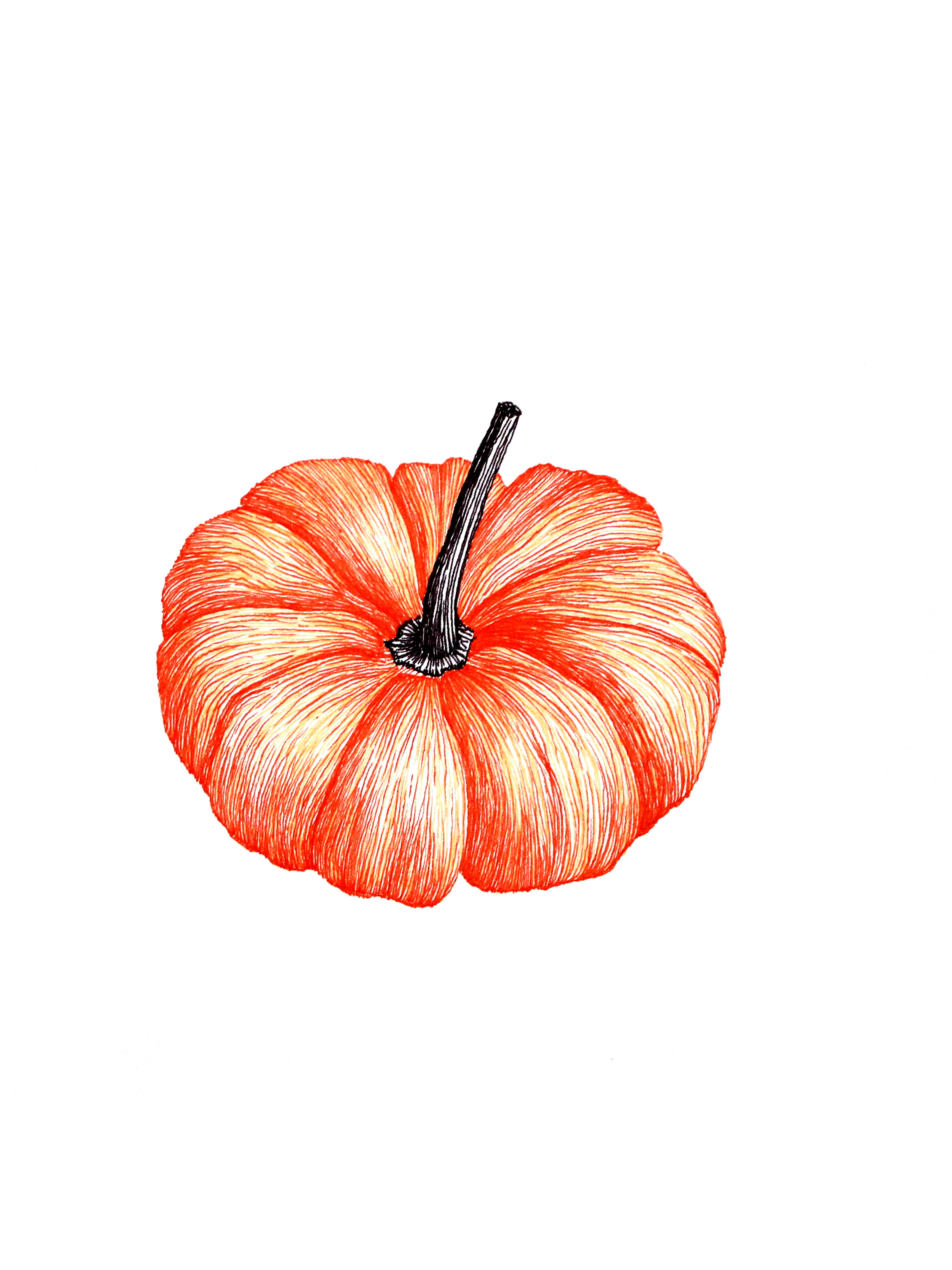 Petite Pumpkin II