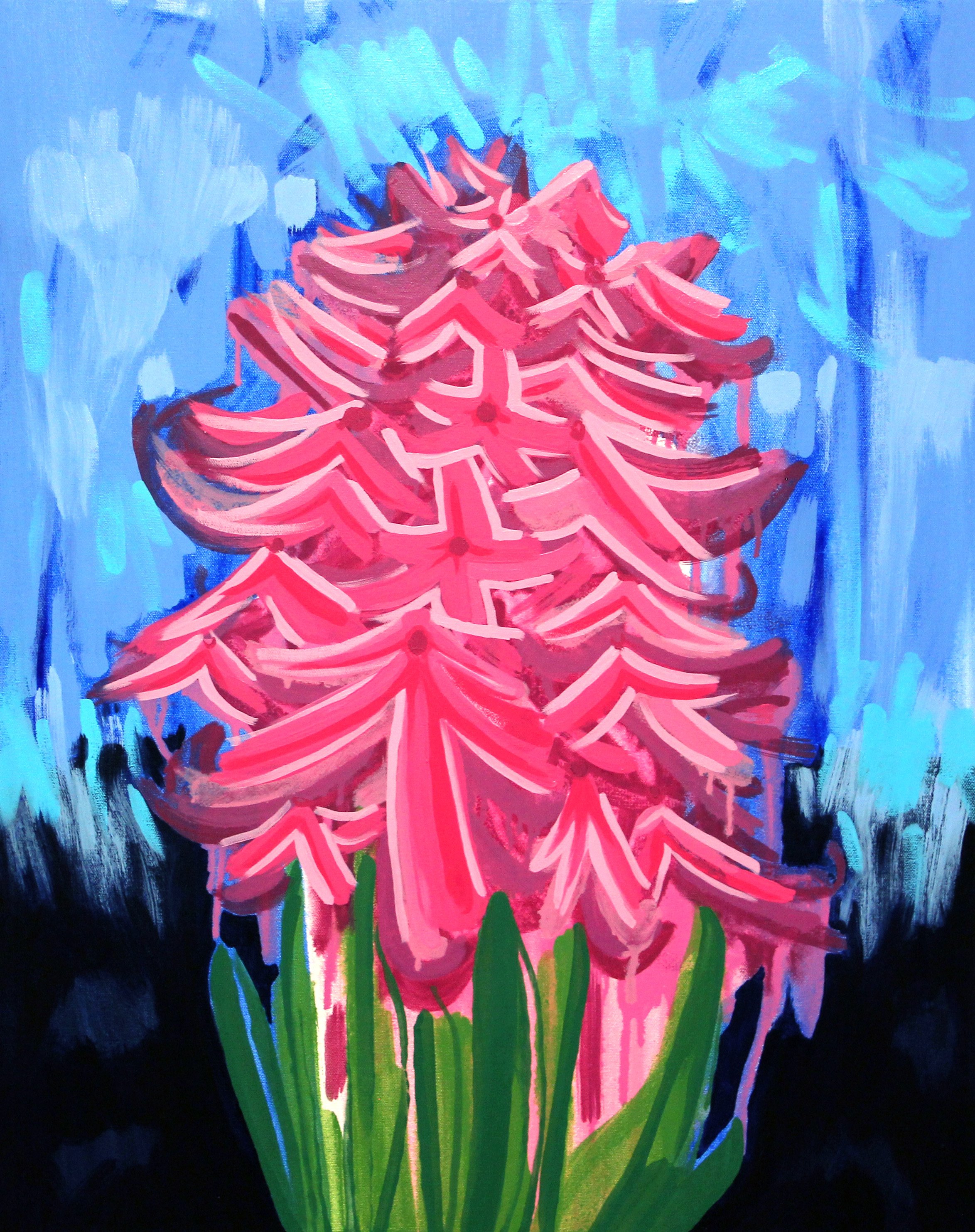 Hyacinth