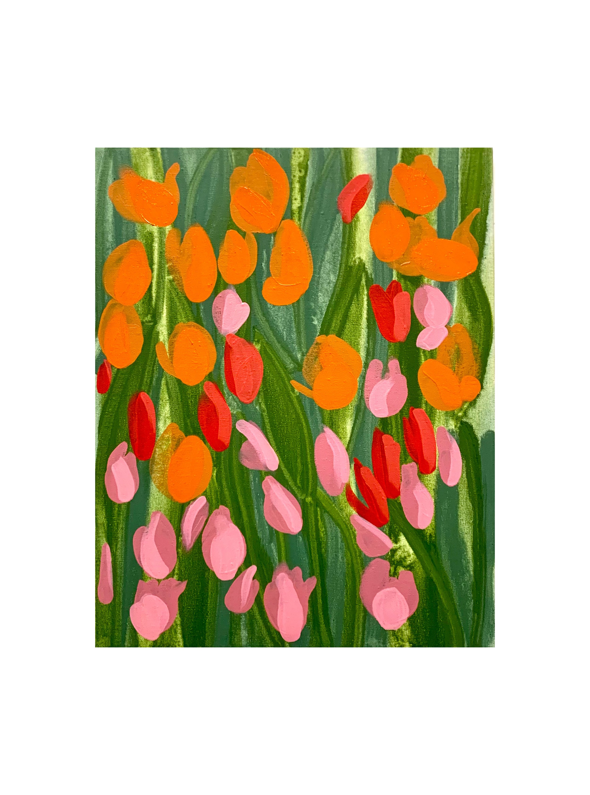 tulips_whiteborder_updated.jpg
