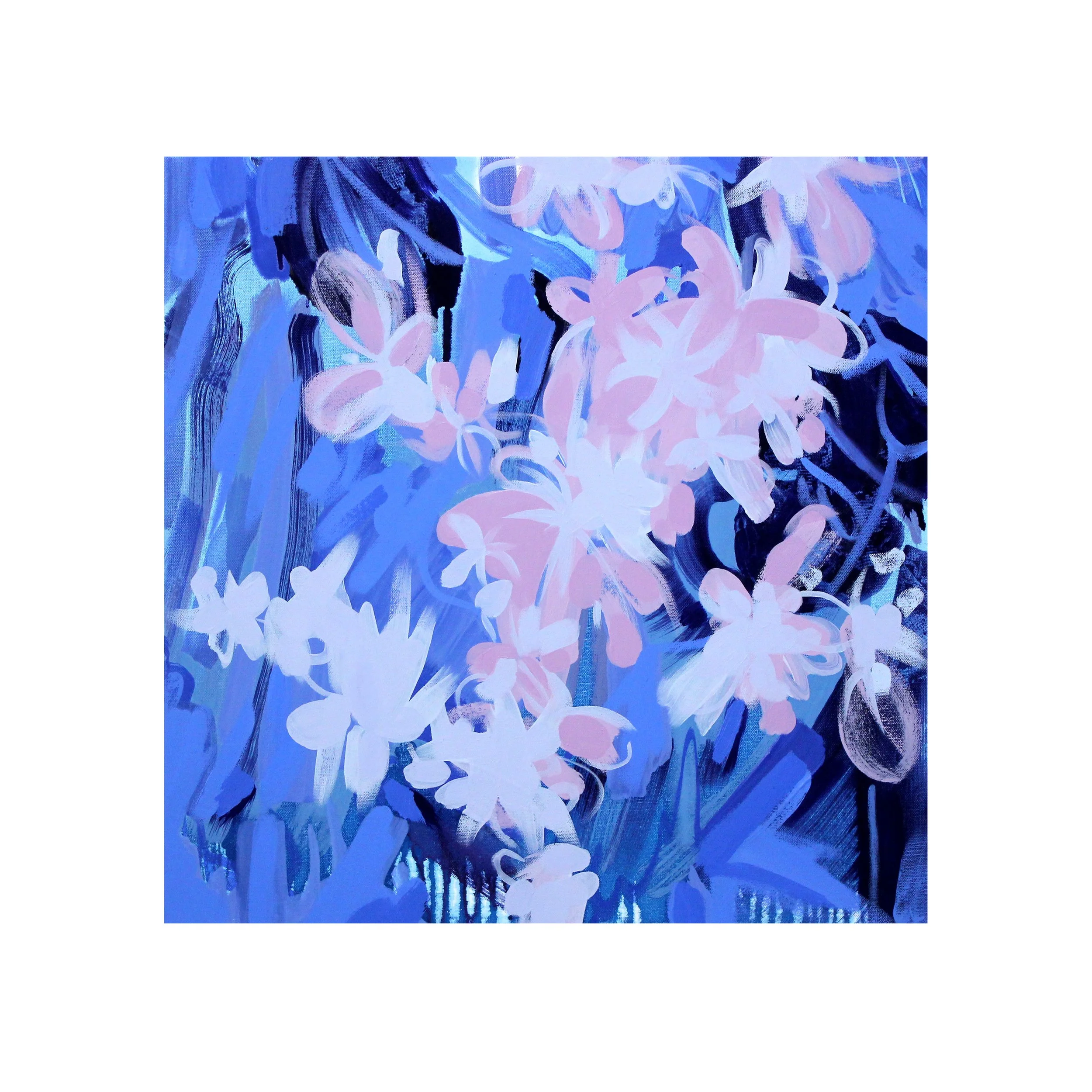 hybrangea1_whitesquareborder.jpg