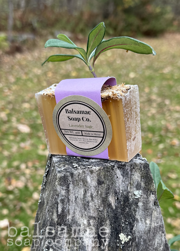 *NEW* Lavender Sage Bar Soap