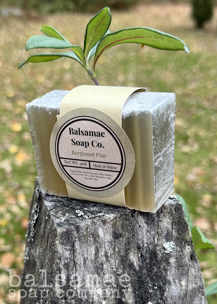 Bergamot Pine Bar Soap