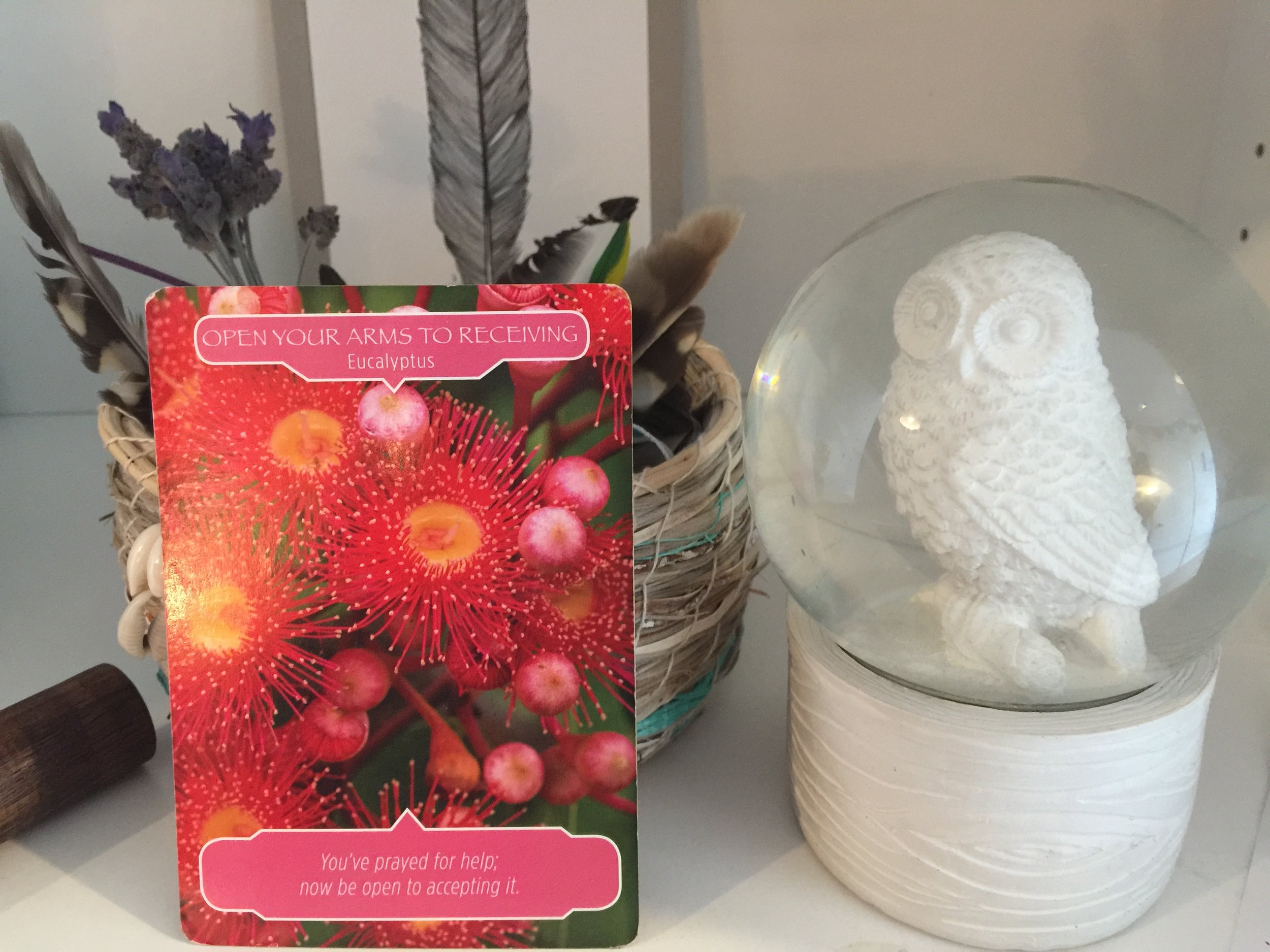 Open your Arms to receive for this 7 week journey of honouring YOU.