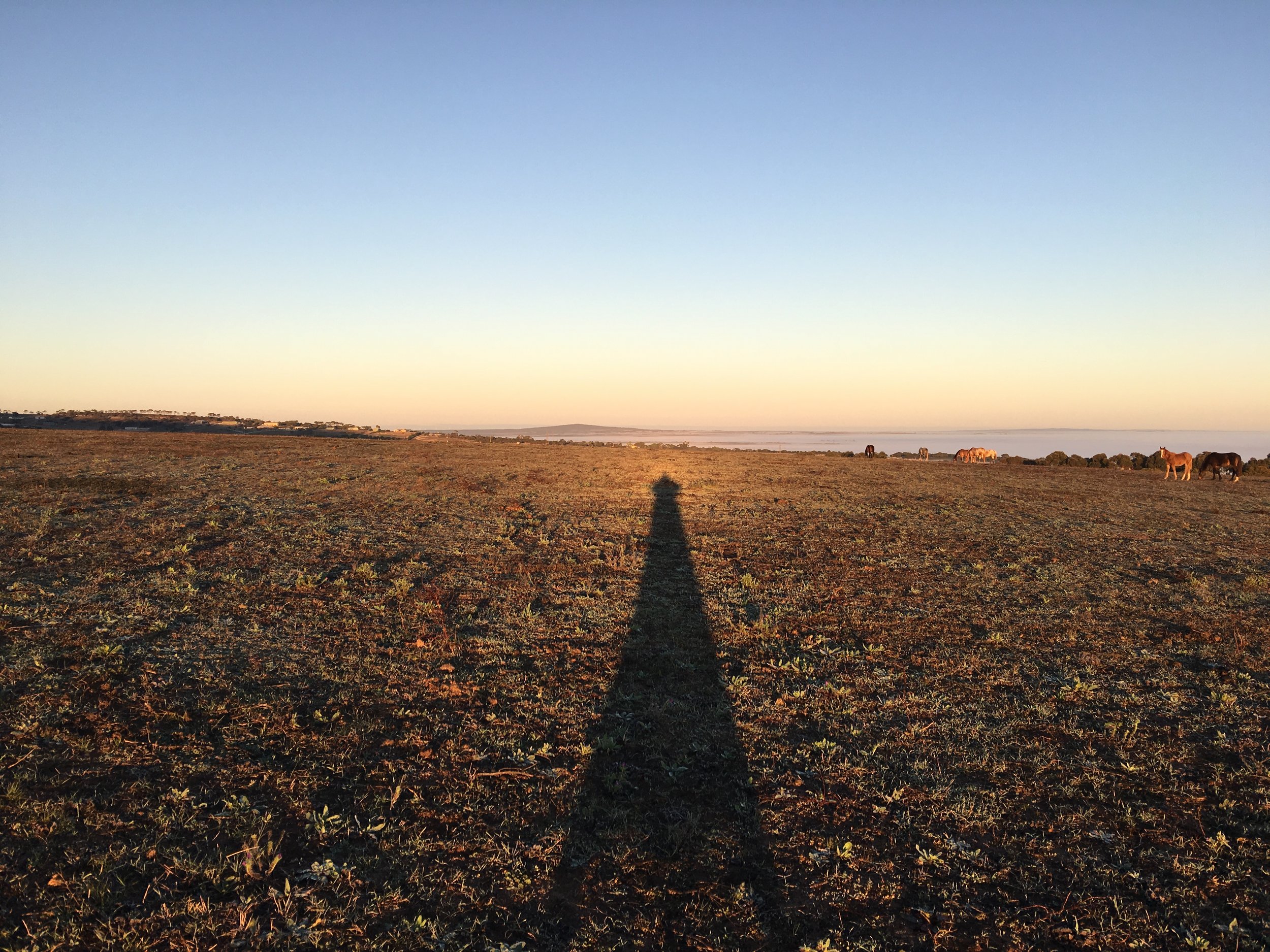 Be the Lighthouse not the torch....