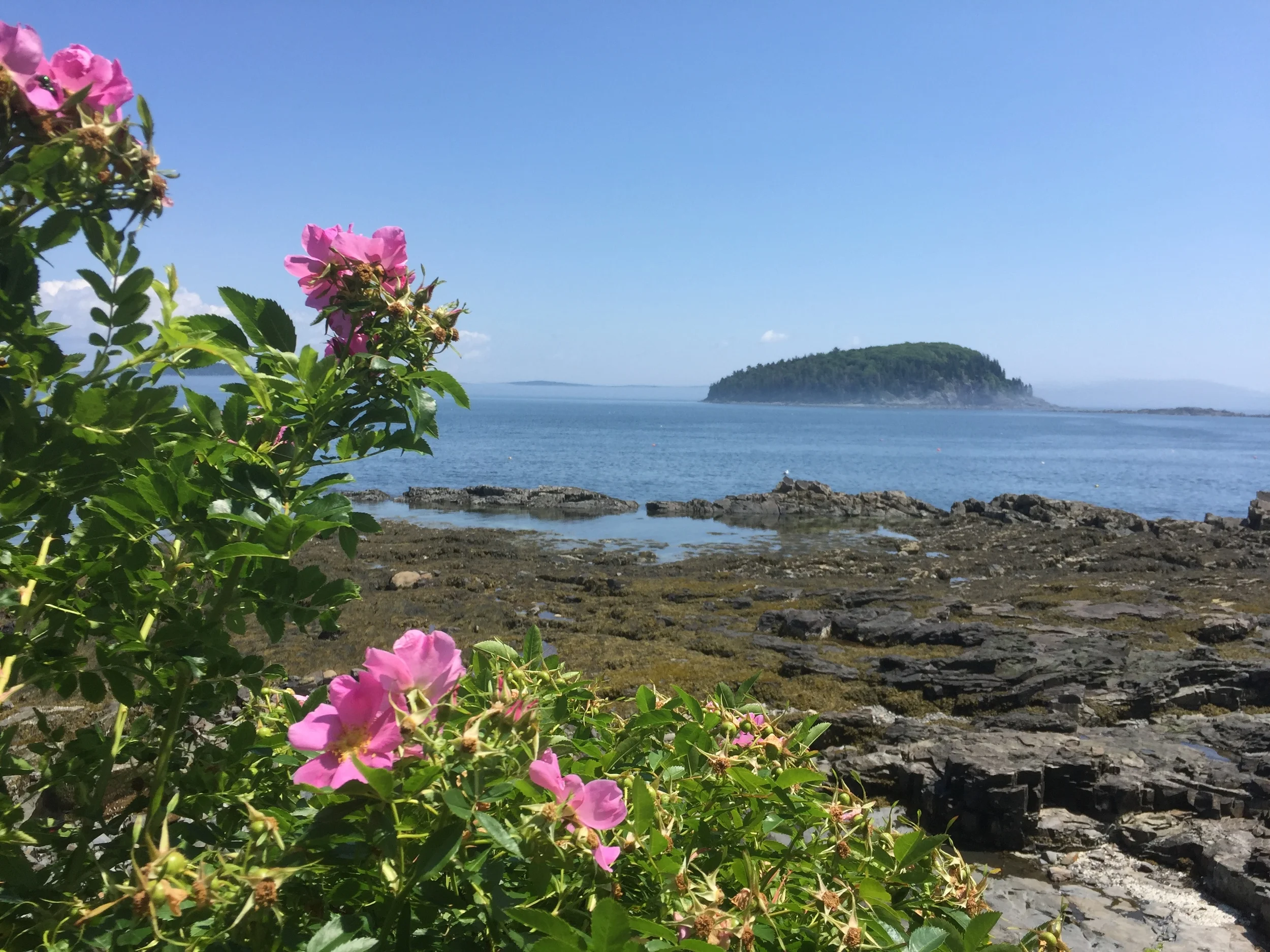 Bar Harbor, ME