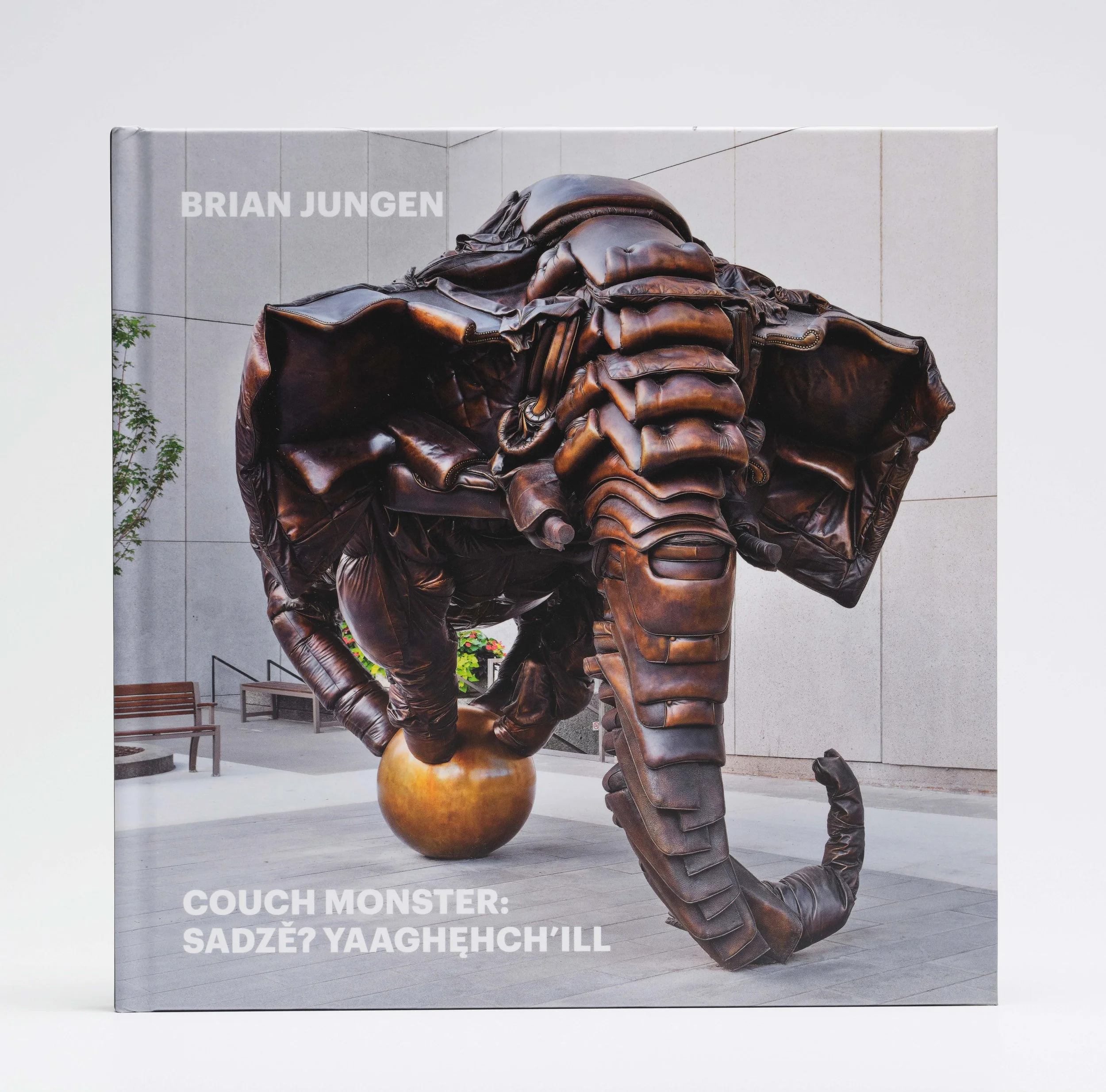 BrianJungen_CouchMonster_343103_Front.jpeg