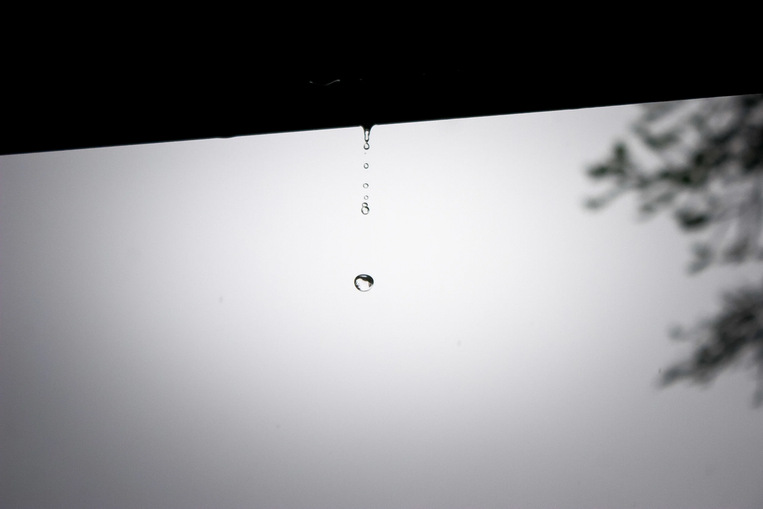 Frozen Rain