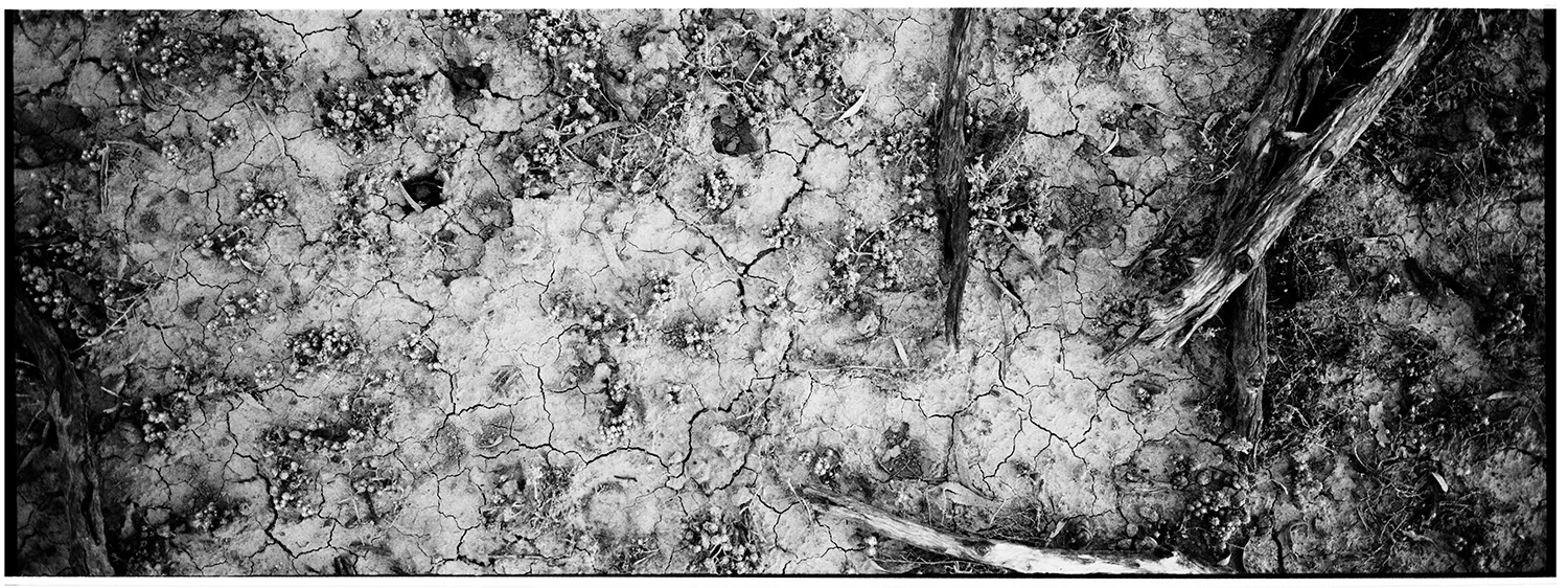 on_country_Culpra_triptych_bw.jpg