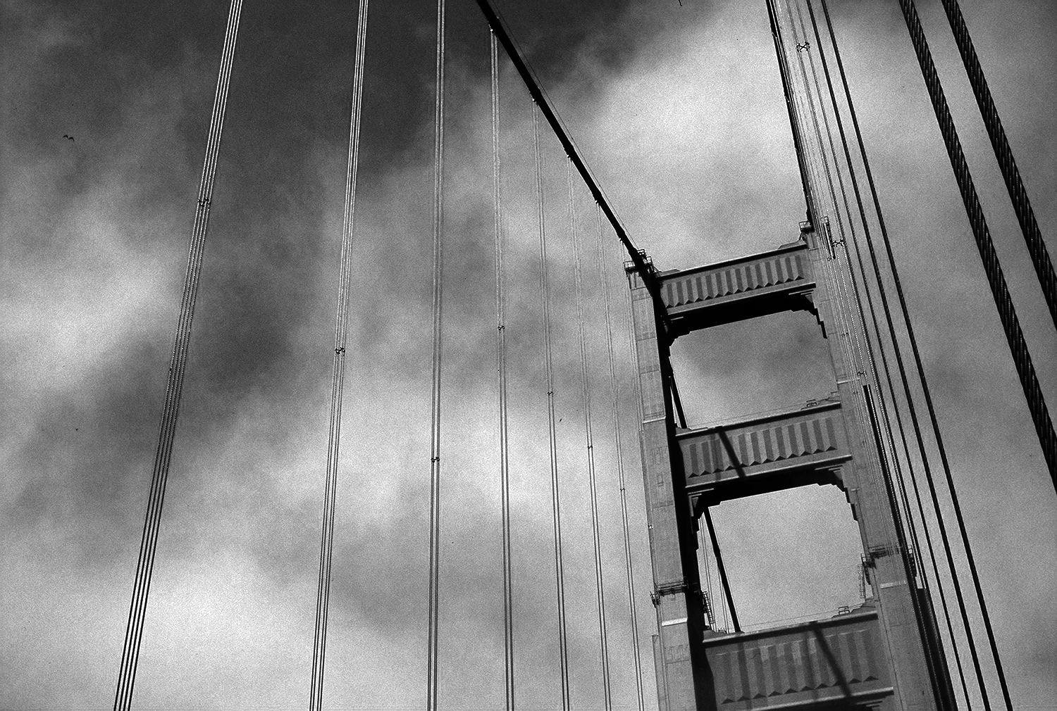 street_lines_web07.jpg