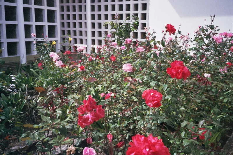 23A_0054.jpg