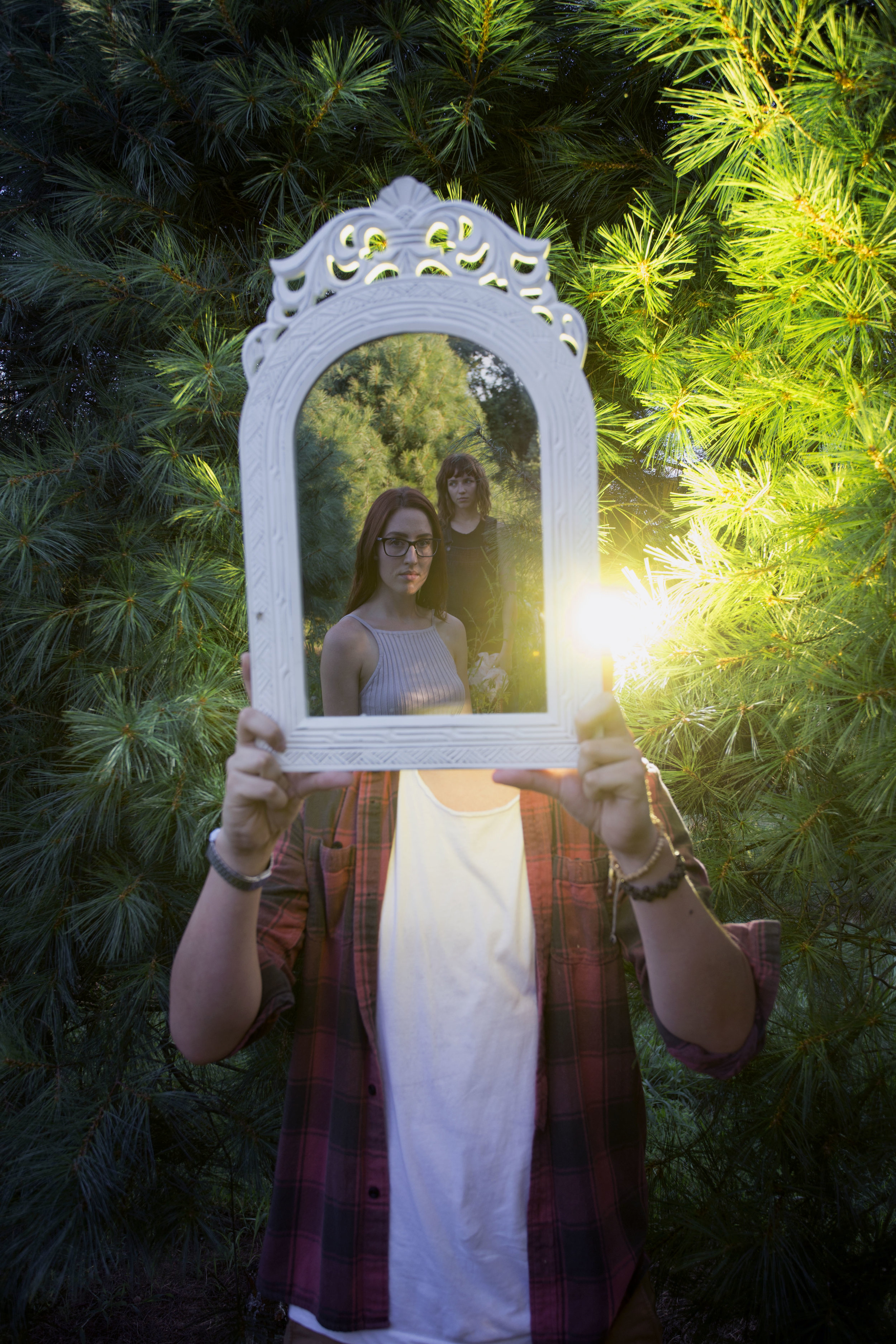 pine4.jpg